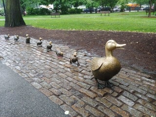 Boston in the rain...