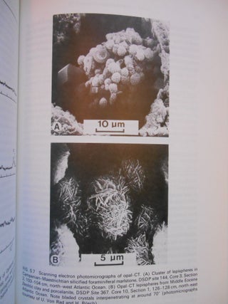 Silicon Geochemistry and Biogeochemistry