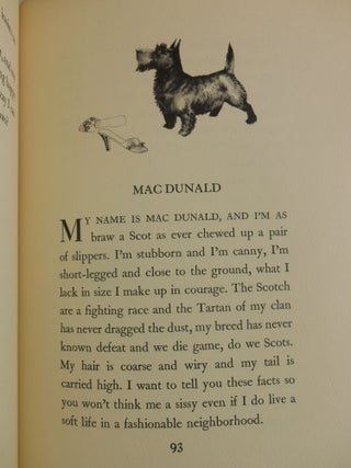 Dog Stories