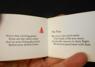 The Pine