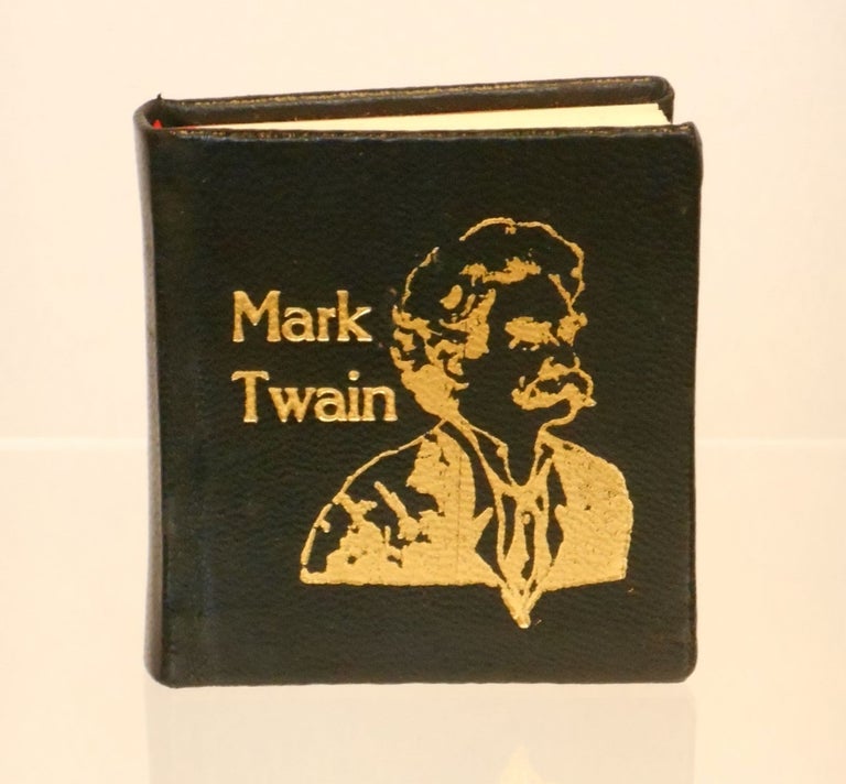 Item #21041201 Mark Twain's Raft Passage; From Life on the Mississippi. Mark Twain, Samuel Clemens, Maryline Poole Adams, Illustrations.