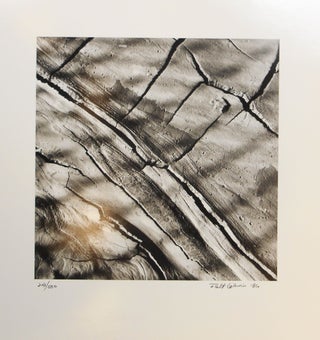 Item #21090403 "A series of original prints depicting our interaction with the earth": The...