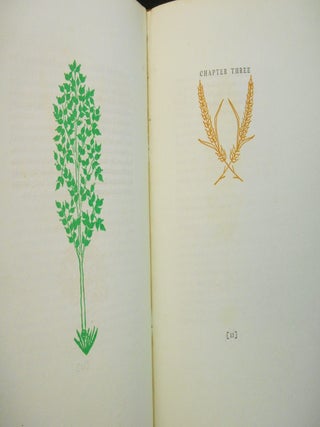 The Book of Ruth