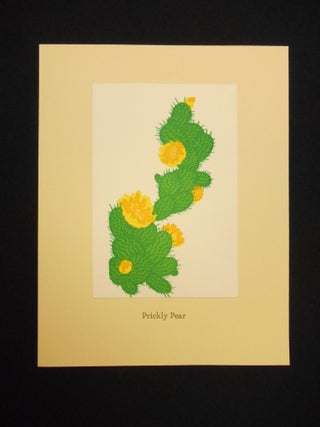 New Mexico Wildflowers; A Suite of Fourteen Linoleum Block Prints