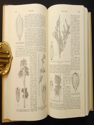 A Manual of the Flowering Plants of California