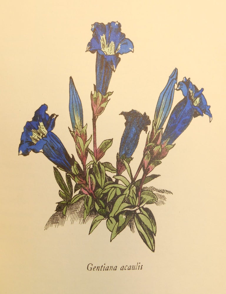 Item #26061421 Catalogue of Alpine and Herbaceous Plants, 1926. John Nash, Publisher.