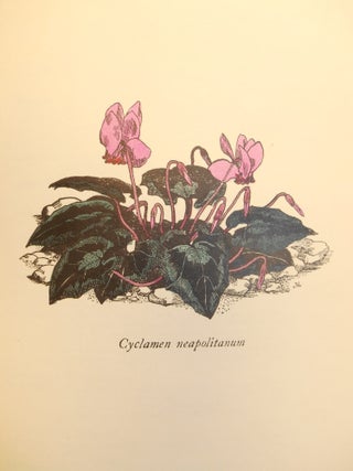 Catalogue of Alpine and Herbaceous Plants, 1926