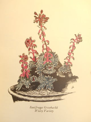 Catalogue of Alpine and Herbaceous Plants, 1926