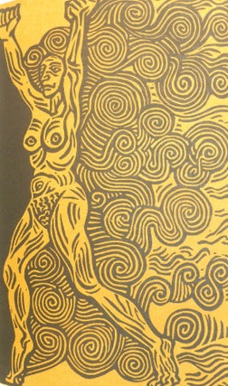 Item #26073001 The Firebird's Nest. Salman Rushdie, Alfredo Benavidez Bedoya, Artist