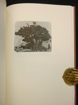 California in Relief, Thirty Wood Engravings by Richard Wagener