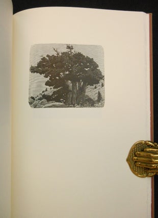 Item #26080202 California in Relief, Thirty Wood Engravings by Richard Wagener. Richard Wagener,...