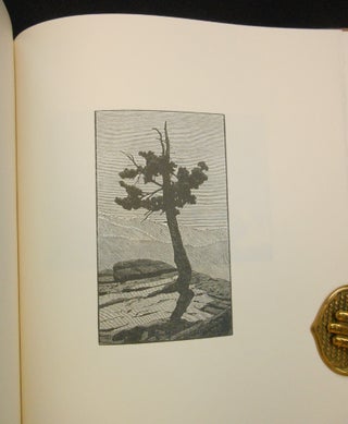 California in Relief, Thirty Wood Engravings by Richard Wagener