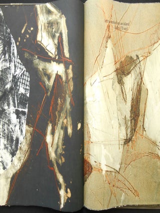 Item #CNBE01 Fog Frac/Tured Pangea. Barry Ebner, Indigo Moor Sharon Coleman, Liz McCall, Poems