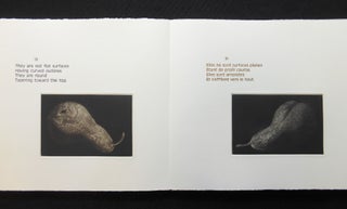 Study of Two Pears / Etude de deux poires [ARTIST BOOK - Judith Rothchild]; A Poem by Wallace Stevens with a translation into French by Bernard Noel and mezzotints by Judith Rothchild