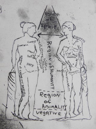 Item #CNJL795 The Handbook of Phrenology. Etchings, Book Design, Albert Mobilio, Hilary Lorenz