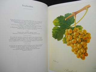 Item #CNJL826 Cépages; Illustrations Extraites de "L'Ampelographie" Pierre Viala, Victor...