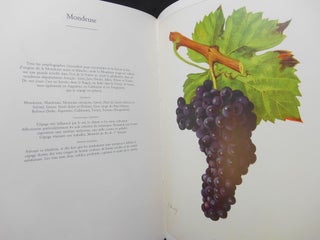 Cépages; Illustrations Extraites de "L'Ampelographie"