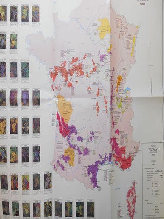 Cépages; Illustrations Extraites de "L'Ampelographie"