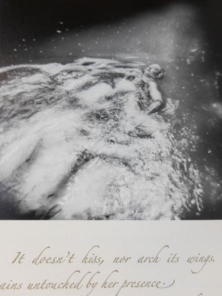 Item #CNJL886 The Swimmer. S. J. Butler, Steffi Pusch, Photographer