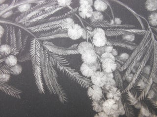 Item #CNJL976 Magie Blanche. Marie Rouanet, Judith Rothchild, Artist