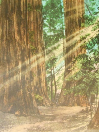 Item #CNWB08 California Redwood Park. Andrew P. Hill