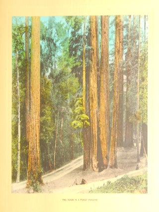 California Redwood Park